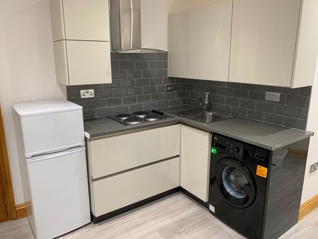 Studio Flat, Norbury Avenue, CR7 - Photo 3