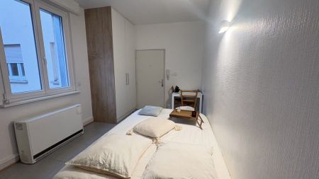 Appartement 1 pièce à Strasbourg - Photo 2