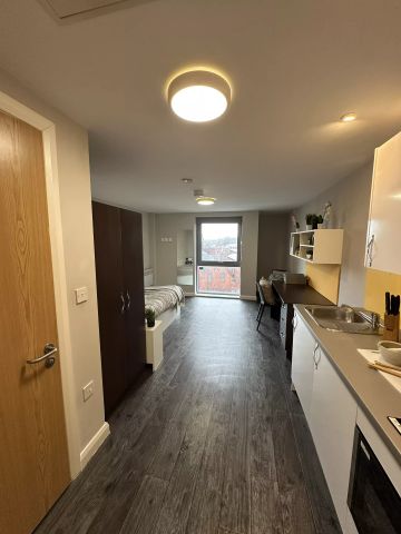 Premier Studio (High Floor) - Photo 5