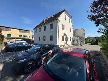 Stilvoll Wohnen & Arbeiten unter einem Dach (177 m²) in historischer Mühle in Markt Hartmannsdorf - Foto 4