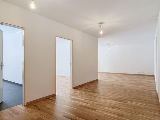 Magnifique appartement de 2.5 pièces au 3ème récemment rénové et bénéficiant d'une vue sur le lac. - Foto 1