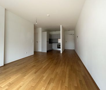 2 Zimmer-Wohnung im 4.OG | Gemeinschaftsdachterrasse | nahe Florids... - Photo 6