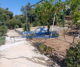 Μονοκατοικία για ενοικίαση - Νέα Μάκρη - Photo 6