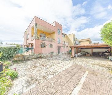 Trilocale in affitto - Photo 1