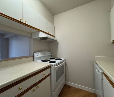 For Lease - 56 Windward Street Unit# 210, St. Catharines, Ontario - Photo 3