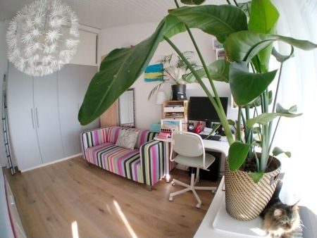 FOR CAT LOVERS IN KIRCHLINDACH (BE), FURNISHED, TEMPORARY - Foto 2