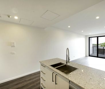 Welcome to the Vibrant Inner South! - Photo 3