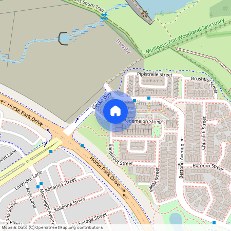 13 Pademelon Street, Throsby ACT 2914