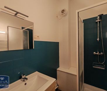 Location Appartement 1 pièce 44m² GRENOBLE 38000 - Photo 6