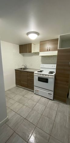 Fully Renovated 3 1/2 Unit - Photo 1