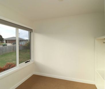 Renovated 3 Bedroom - Photo 1