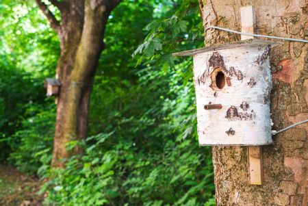 Eckersbacher Höhe 51 - Photo 5