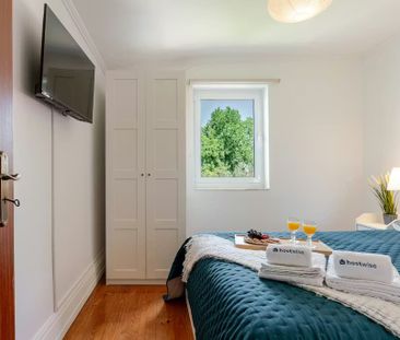 Rua do Mirante, Porto, Braga 4050-179 - Photo 2