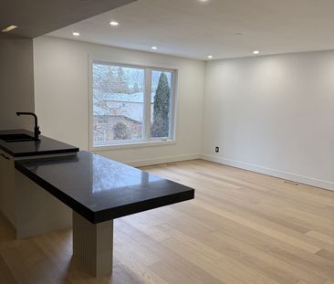 For Lease - 189 Lloyd Avenue Unit# Main Floor, Newmarket, Ontario - Photo 4