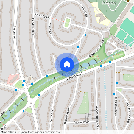 Broadmoor Avenue, Smethwick, B67