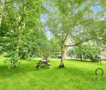 1 bedroom flat to rent - Photo 6
