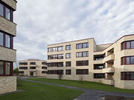 Living in a vibrant neighborhood - Photo 4