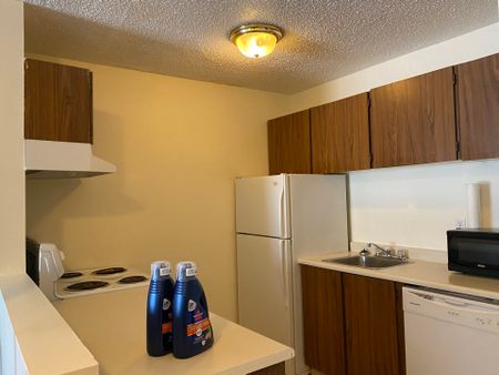 Green Glen B – 1 Bedroom Furnished - Photo 4