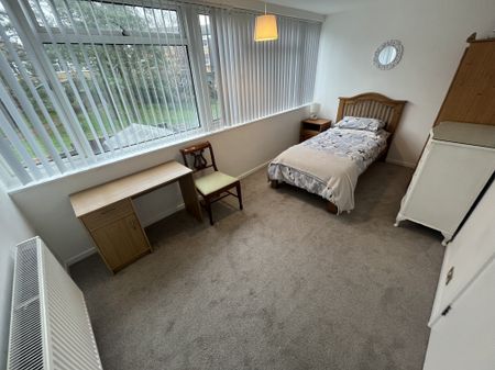 Durham Way, Thetford - Photo 5