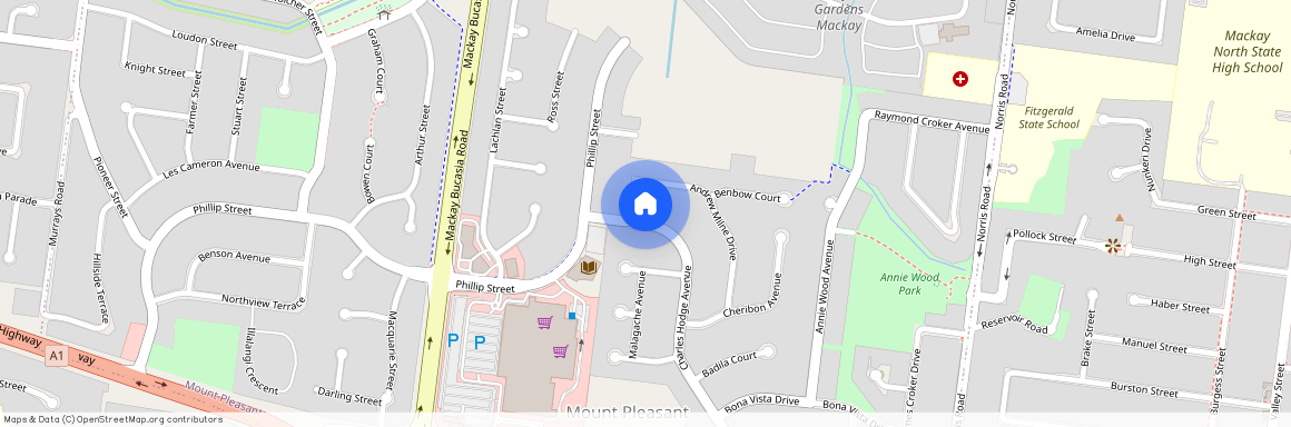 54 Charles Hodge Avenue, Mount Pleasant QLD 4740