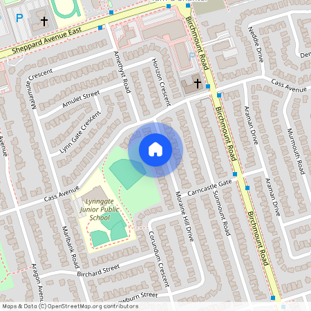 70 Moraine Hill Drive Unit# Main, Toronto