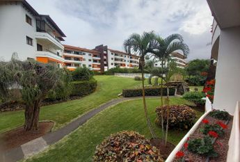 Piso En alquiler Calle Luis Rodríguez Figueroa, Distrito Botánico, Puerto de la Cruz