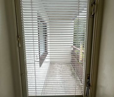 Ekbacken, Asarum - Foto 6