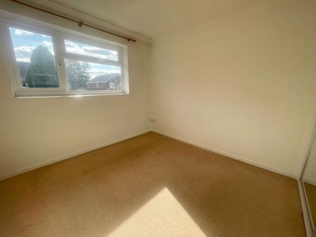 DIBDEN CLOSE, MUSCLIFF (P01205) - Photo 4