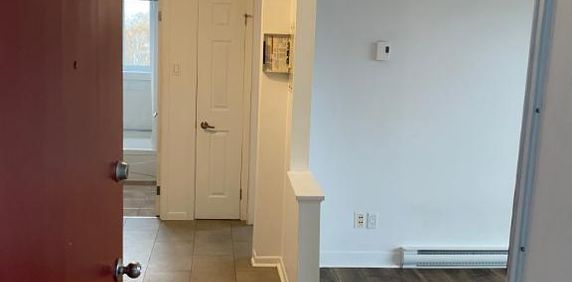 3 ET DEMI DISPONIBLE LE 1ER OCTOBRE 2025 - Photo 2