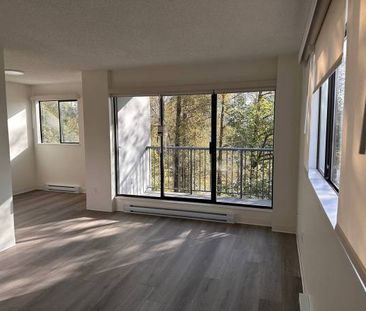 1-Bedroom Fully Renovated close to SkyTrain (Lougheed) - Photo 2