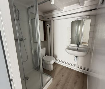 POITIERS PLEIN CENTRE BEAU TYPE 2 RENOVE DE 28 M2 - Photo 1