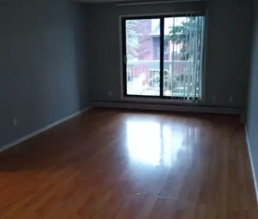 Apartment for rent at 10141 162 Street Northwest | 10141 162 Street... - Photo 1