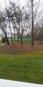 Location Appartement 1 Pièce 28 m² - Photo 3