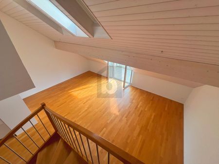 ABENDSONNE IN GEMÜTLICHER UMGEBUNG - Photo 4