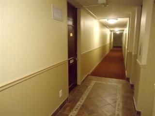 55 Brownlow Avenue - Photo 5