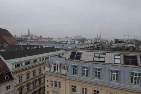 10. OG im HOCHHAUS HERRENGASSE!!!! 1-Zimmer-Wohnung mit Weitblick!!! - Photo 2