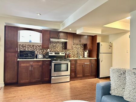 For Lease - 58 Lebovic Drive Unit# Basement, Richmond Hill, Ontario - Photo 2