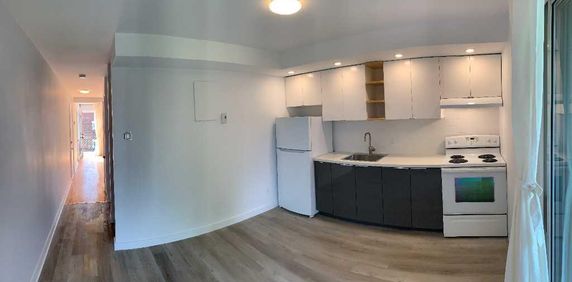 BEAU LOFT – CUISINE RÉNOVÉE – VILLERAY, MONTRÉAL - Photo 2