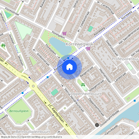 Professorenbuurt, 9714 ET, Oppenheimstraat, Groningen