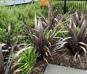 Charming Karaka Townhouse for Rent - Photo 5