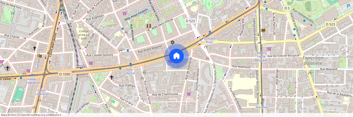 89 Rue Mallifaud, 38100 Grenoble, France