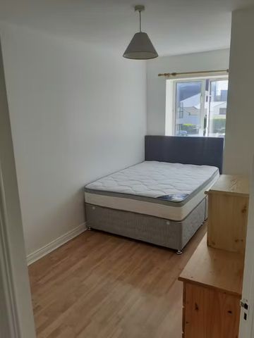 Usher's Quay, Dublin - Photo 5