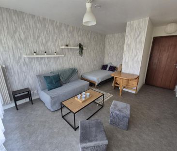 Location Appartement 1 pièce Meublé 26m² NANCY 54000 - Photo 1
