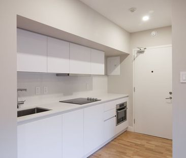 3455 Rue Aylmer - Photo 3