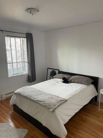 Appartement, Montréal (Le Plateau-Mont-Royal) - Photo 3