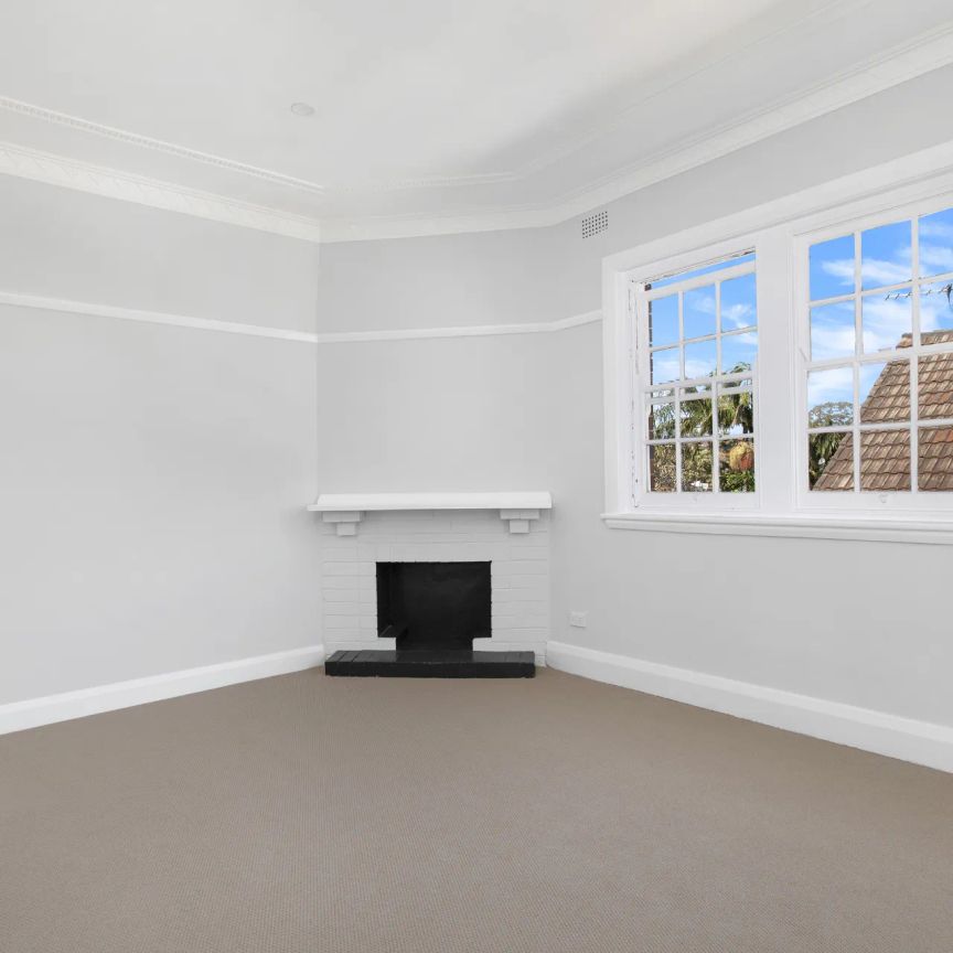 Another Successful Result by David Ibanez - Photo 1