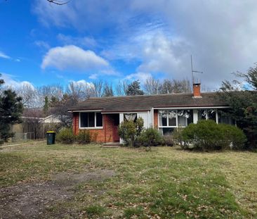 17 Dooring Street, Dickson ACT 2602 - House For Rent | Domain - Photo 4