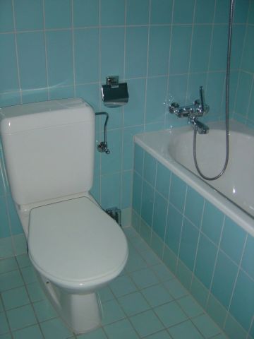 2.5 Zimmer, 65 m², 1. Stock - Foto 4