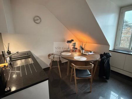 Charmant 2,5 pièces rénové au coeur de la vieille ville - Foto 2