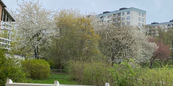 Odd Fellowvägen, Skärholmen - Foto 3